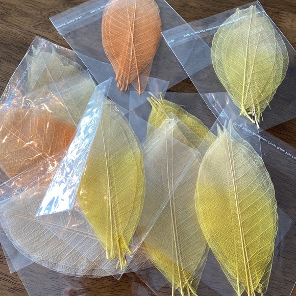 ⚠️add on +$1⚠️Dried Leaves, Rustic Decor 5pcs per pack - Picture 3 of 6
